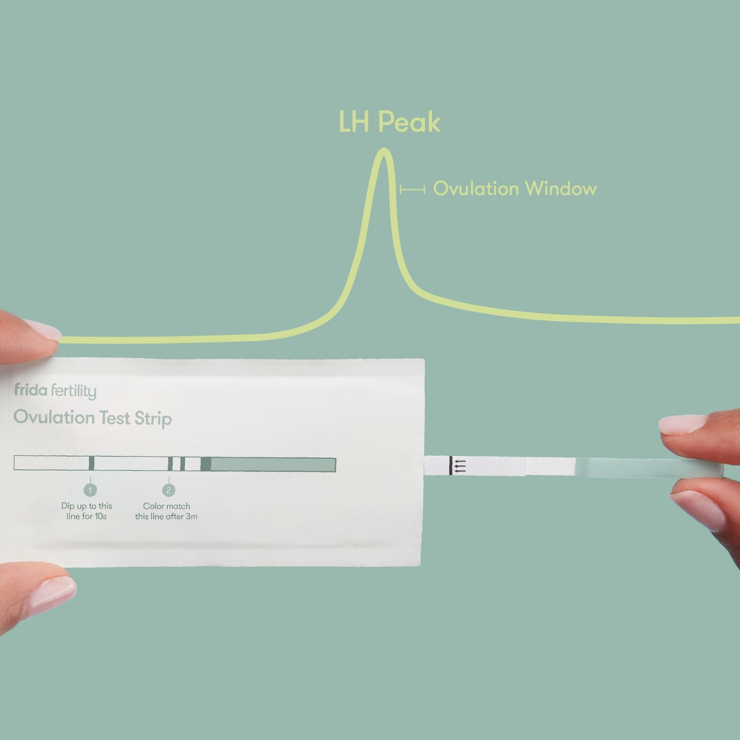Ovulation Prediction Test