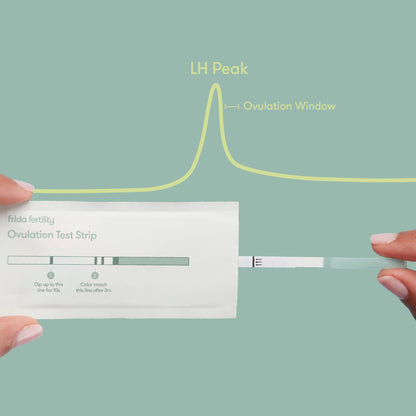 Ovulation Prediction Test